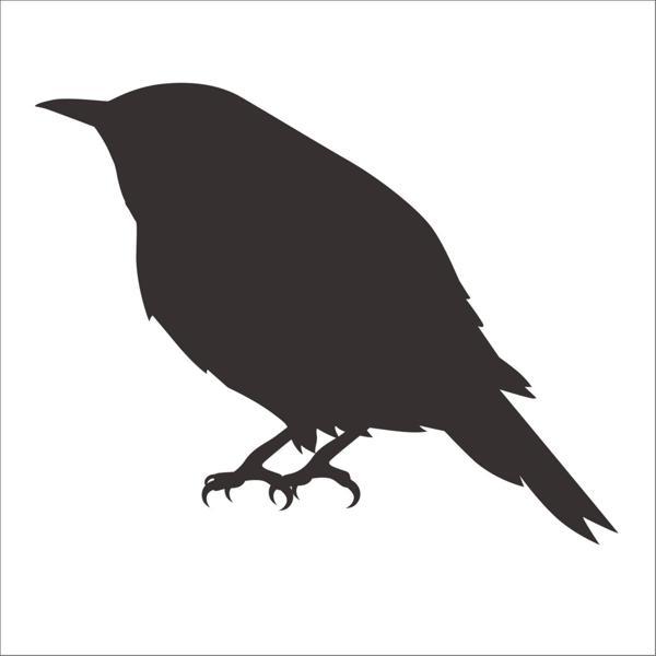 KUŞ FOLYO STİCKER 50cm Uzunluk - Image 1