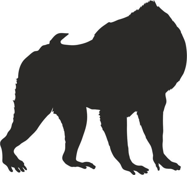 MAYMUN FOLYO STİCKER 30cm Uzunluk - Image 1