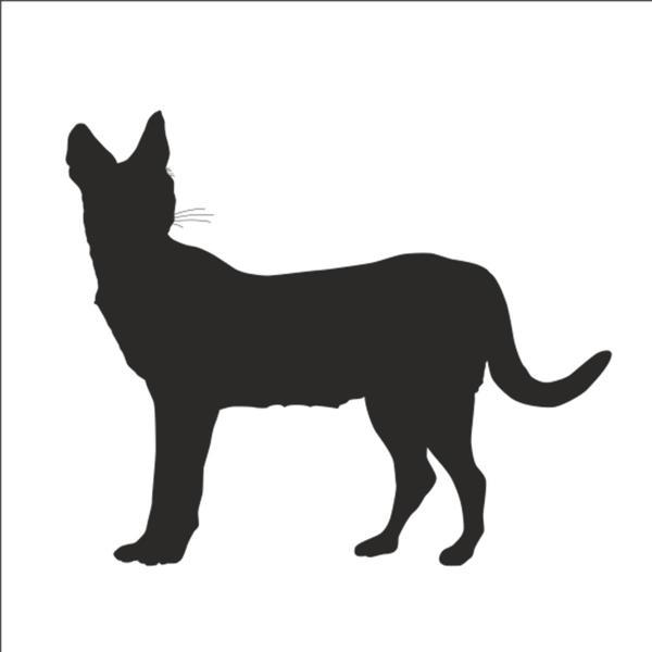 VAŞAK FOLYO STİCKER 50cm Uzunluk - Image 1