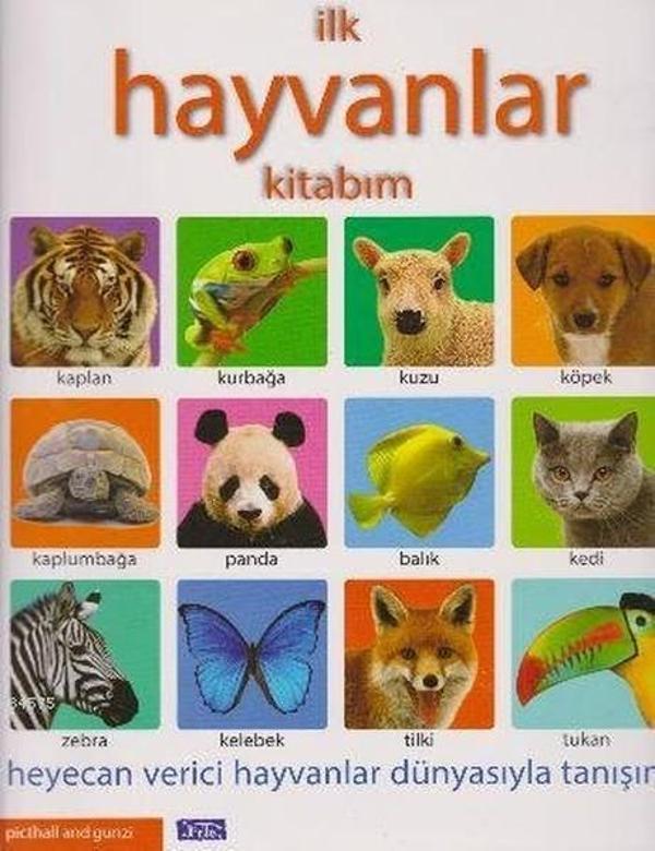 İlk Hayvanlar Kitabım - Parıltı Yayınları - Image 1