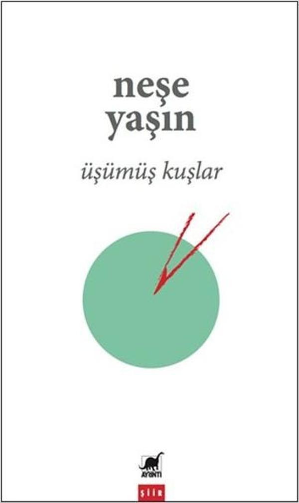 Üşümüş Kuşlar - Ayrıntı Yayınları - Image 1