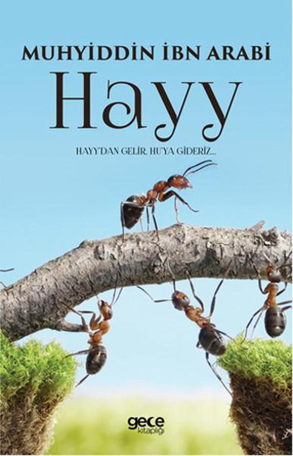Hayy - Gece Kitaplığı - Image 1