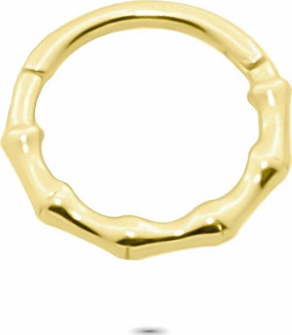 Glorria Altın Burgu Halka Piercing - Image 1