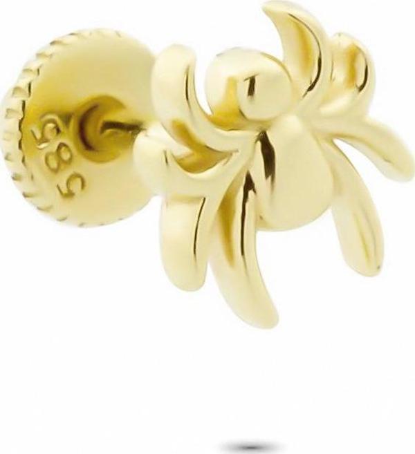 Glorria Altın Örümcek Helix Piercing - Image 1