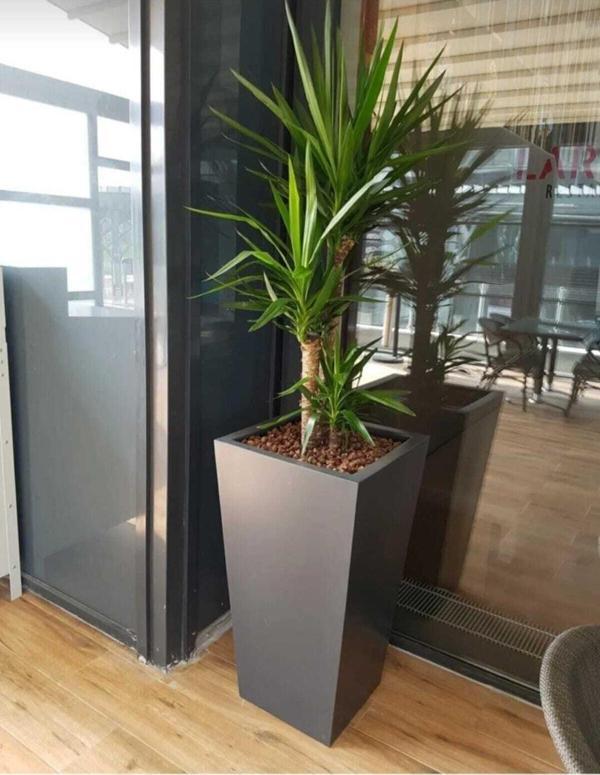 TRENDESK Galvaniz Konik Saksı, Çiçeklik ,çiçek Standı 30x20x60 Texture Mat Siyah - Image 1