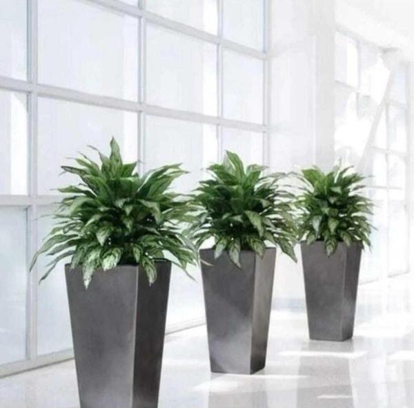 TRENDESK Galvaniz Konik Saksı, Çiçeklik ,çiçek Standı Sınır Saksısı 30x20x60 Texture Mat Siyah - Image 1