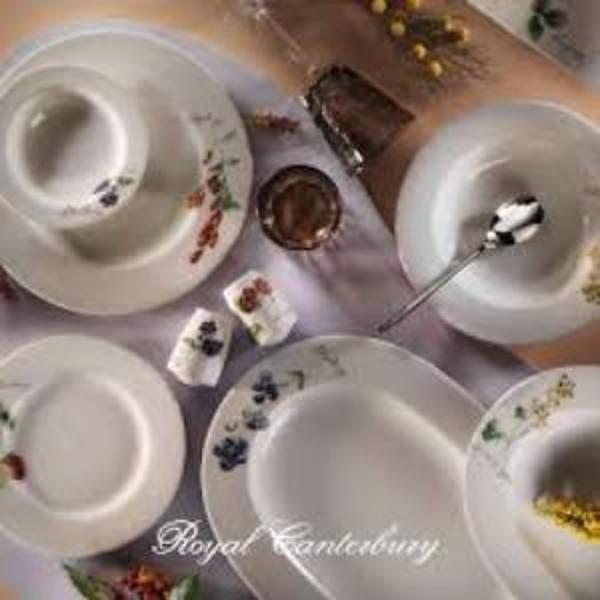 Royal Canterbury Very Berry 53 Parça Yemek Takımı - Image 1