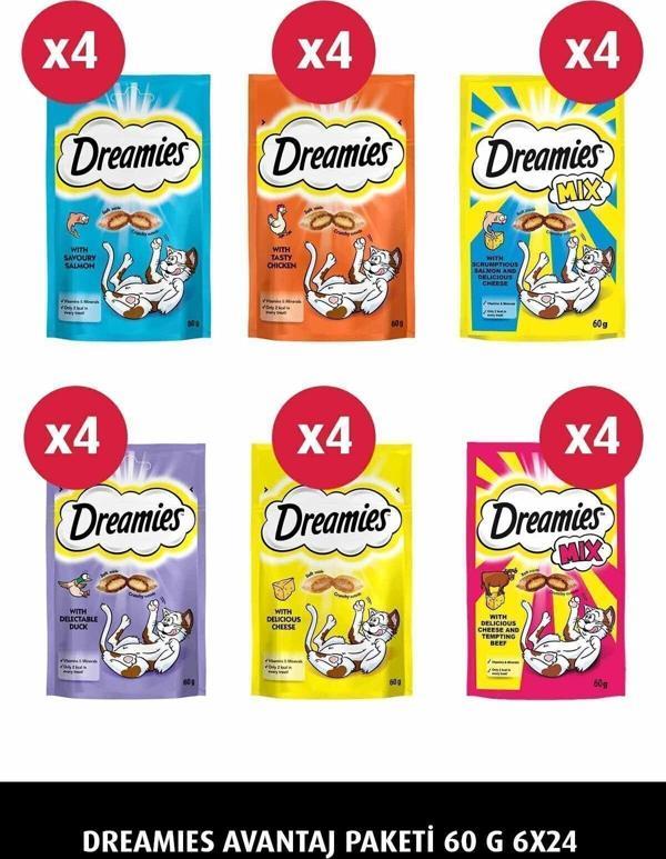 Dreamis Karışık Ödül Maması Paketi 6X24 - Image 1