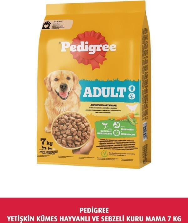 Pedigree Yetişkin Kümes Hayvanlı Ve Sebzeli Kuru Mama 7 Kg - Image 1