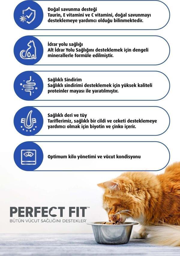 Perfect Fit Natural Vitality Yetişkin Tavuklu Ve Hindili Kuru Mama 1Kg 3X - Image 1