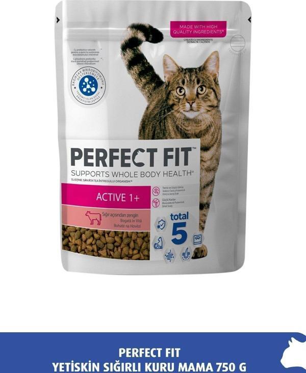 Perfect Fit Yetişkin Sığırlı Kuru Mama 750 G - Image 1
