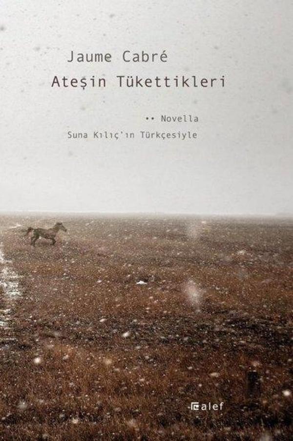Ateşin Tükettikleri - Alef - Image 1
