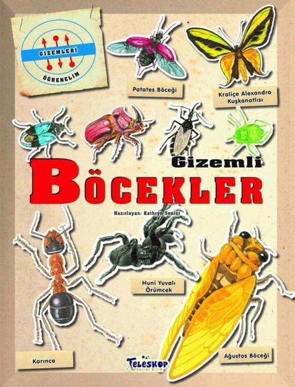 Gizemli Böcekler - Gizemleri Öğrenelim - Teleskop Popüler Bilim - Image 1