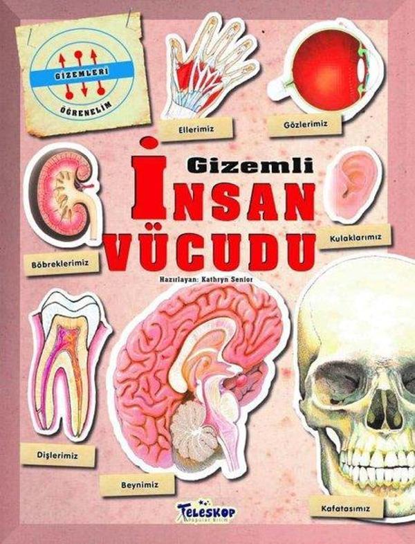 Gizemli İnsan Vücudu - Gizemleri Öğrenelim - Teleskop Popüler Bilim - Image 1