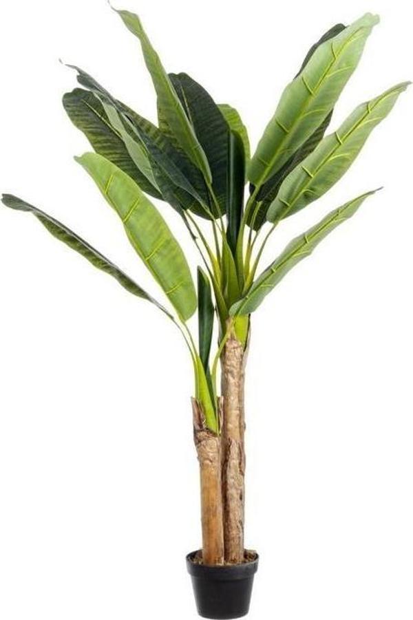 Netten Evime Yapay Ağaç Muz Ağacı Yapay Starliçe 220 cm - Image 1