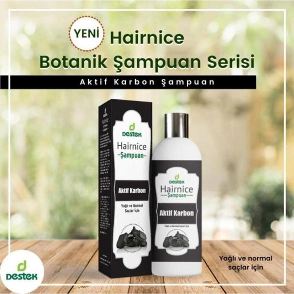 Destek Hairnice Aktif Karbon Şampuan 330 Ml - Image 1