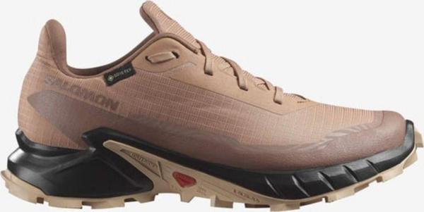 Salomon Alphacross 5 Gtx W Kadın Koşu Ayakkabısı - Image 1