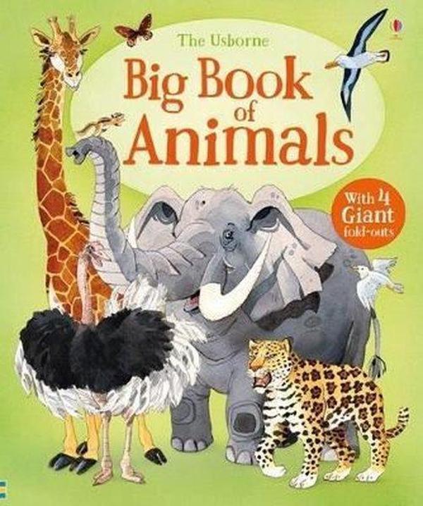 Big Book of Animals - Usborne - Image 1