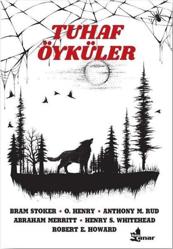 Çınar Yayınları Tuhaf Öyküler - Çınar Yayınları - Image 1