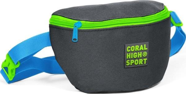 Coral High Sport Gri-Yeşil İki Bölmeli Bel Çantası - Image 1