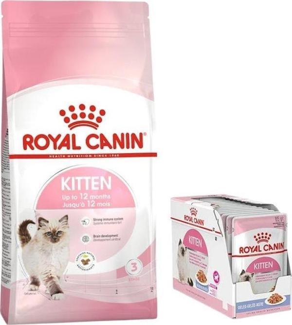 Royal Canin Kitten Yavru Kedi Maması 10 Kg, Royal Canin Kitten Jelly Yaş Mama x 12 Adet - Image 1