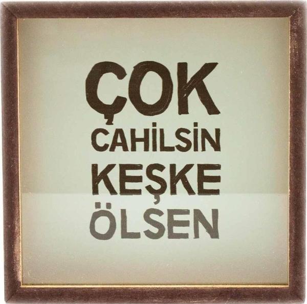 Çok Cahilsin Keşke Ölsen Ahşap ve Cam Tasarımlı Kumbara - Image 1