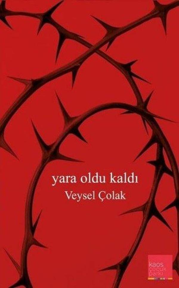 Yara Oldu Kaldı - Kaos Çocuk Parkı - Image 1