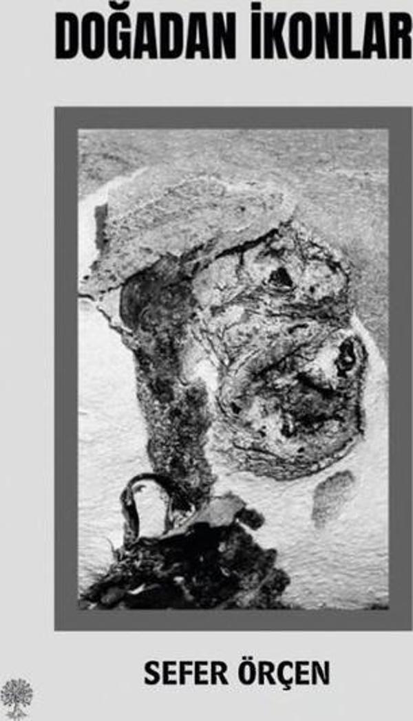 Doğadan İkonlar - Platanus Publishing - Image 1