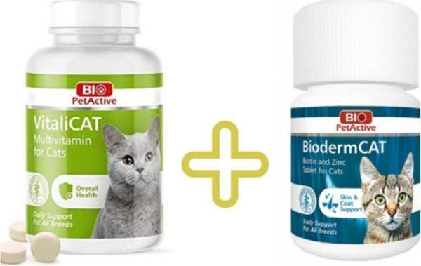 Bio PetActive Biopetactive Set(bioderm Cat+vitalicat Multivitamin) - Image 1