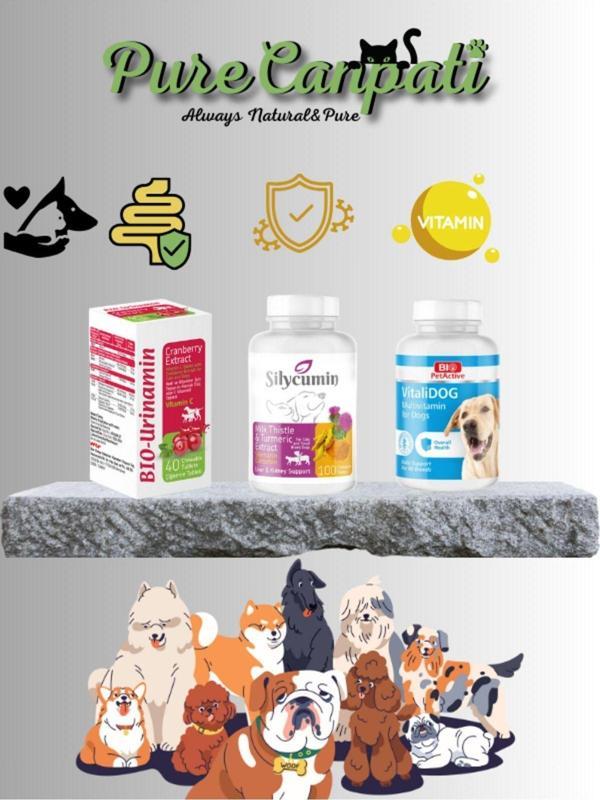 PureCanpati Köpek Destek Vitamin Seti(Silycumin,Vitalidog,Bio Urinamin ) - Image 1