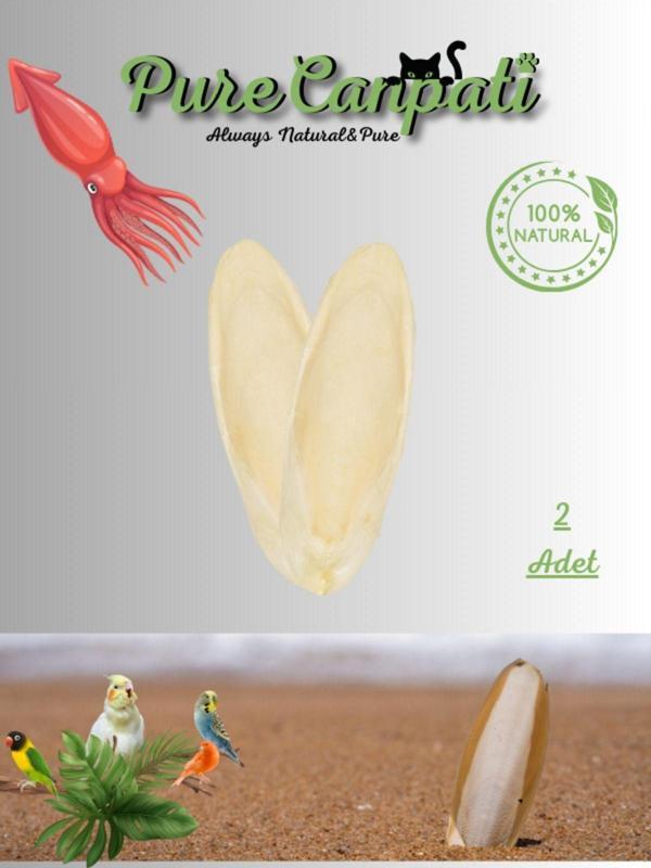 PureCanpati 2 Adet Temizlenmiş Küçük Boy Kalamar Kemiği (7-8cm) Mürekkep Balığı Kemiği Ve Tutacak - Image 1