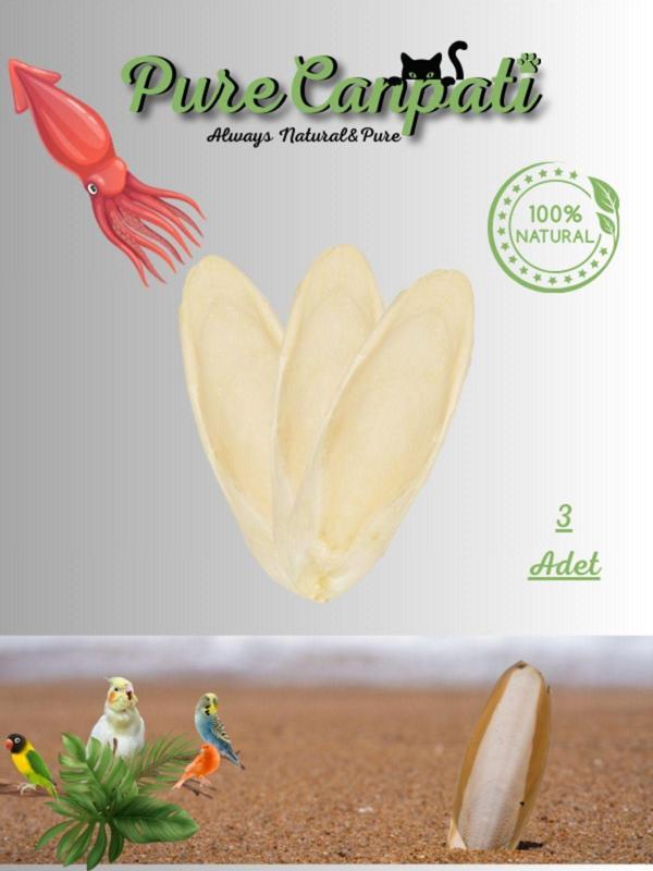 PureCanpati 3 Adet Temizlenmiş Mürekkep Balığı (kalamar) Kemiği 7-8cm Ve Kalamar Kemiği Tutacak - Image 1
