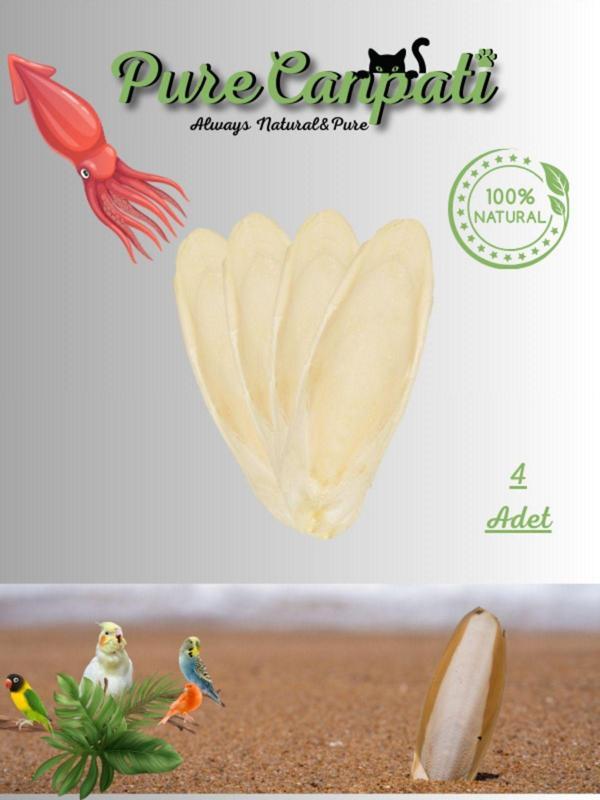 PureCanpati 4 Adet Temizlenmiş Küçük Boy Kalamar Kemiği (7-8cm) Mürekkep Balığı Kemiği Ve Tutacak - Image 1
