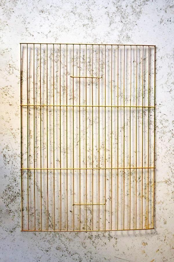 ARSPOLO Kuş Kafesi Izgarası Gold 45/35 Üretim Kafesi - Image 1