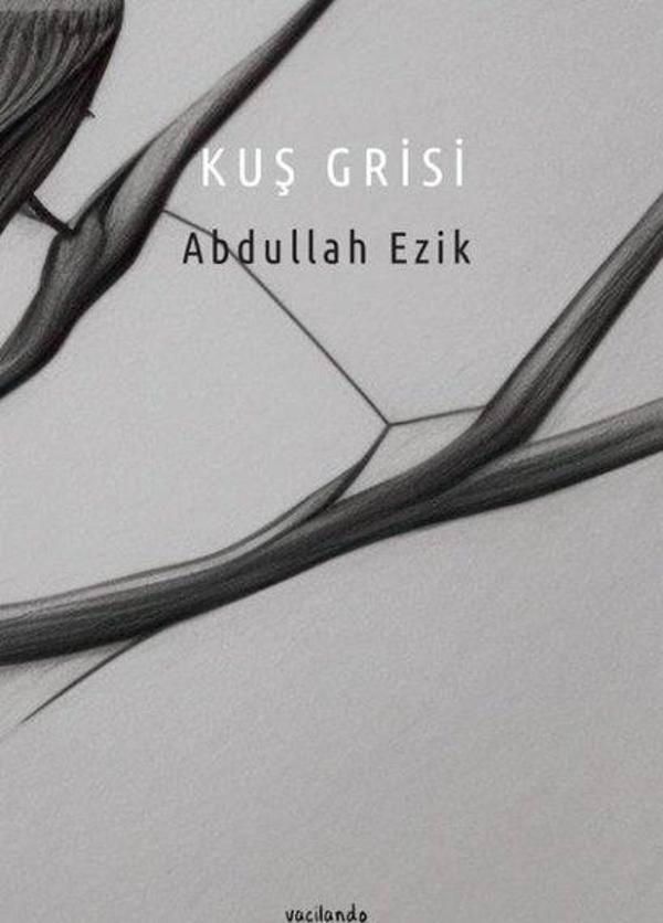 Kuş Grisi - Vacilando Kitap - Image 1