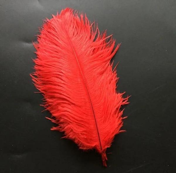 400 PCS DECOR RED BIRD FEATHER 400 ADET KIRMIZI KUŞ TÜYÜ KIRMIZI ŞEFFAF BALON TÜYÜ SÜSLEME TÜYÜ - Image 1