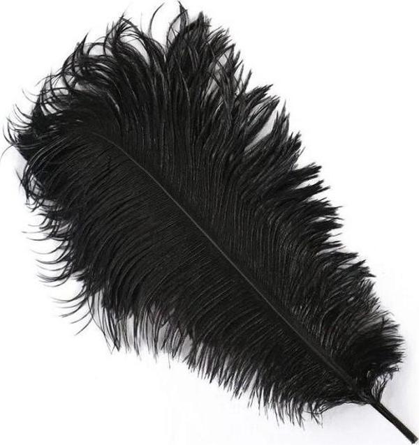 400 PCS DECOR VIP BLACK BIRD FEATHER 400 ADET SİYAH KUŞ TÜYÜ SİYAH ŞEFFAF BALON TÜYÜ SÜSLEME TÜYÜ - Image 1