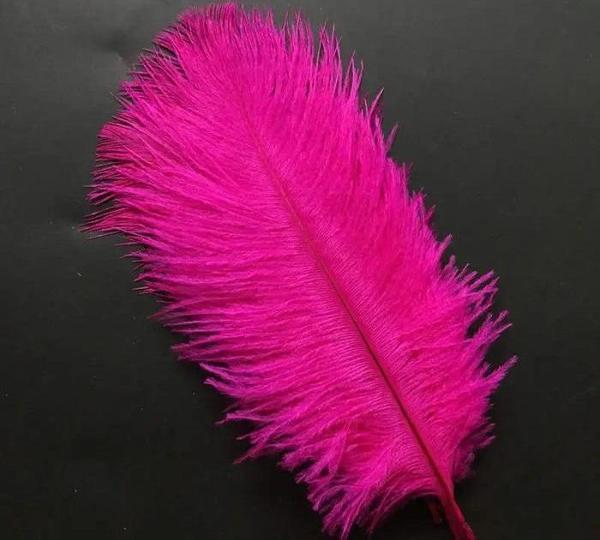 400 PCS DECOR VIP DARK PINK BIRD FEATHER 400 ADET KOYU PEMBE KUŞ TÜYÜ ŞEFFAF BALON TÜYÜ SÜSLEME TÜYÜ - Image 1