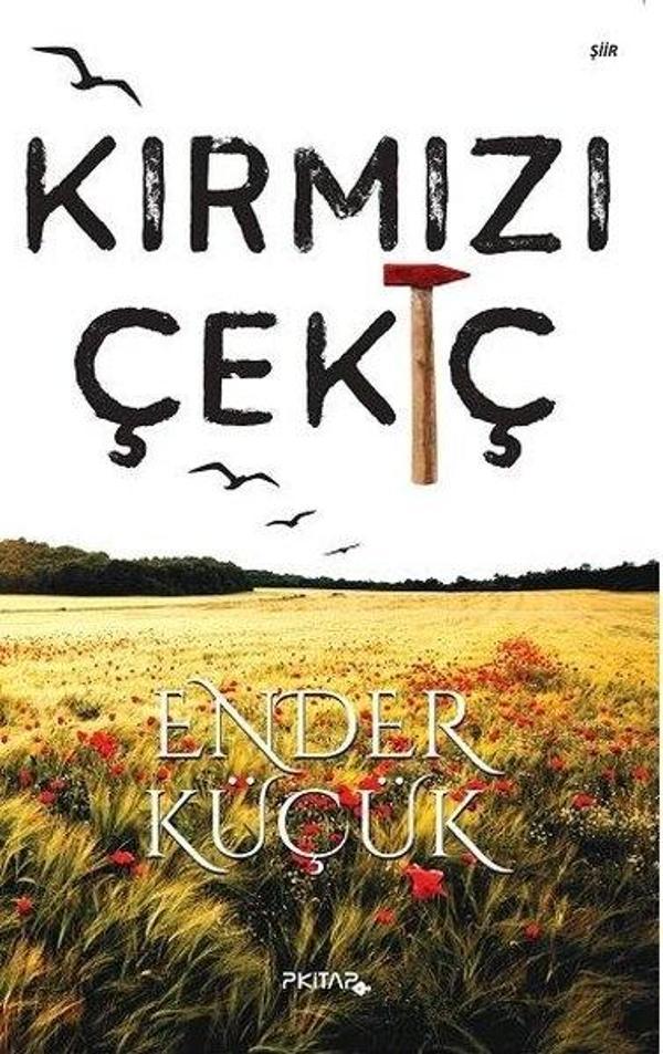 P Kitap Yayıncılık Kırmızı Çekiç - P Kitap Yayıncılık - Image 1