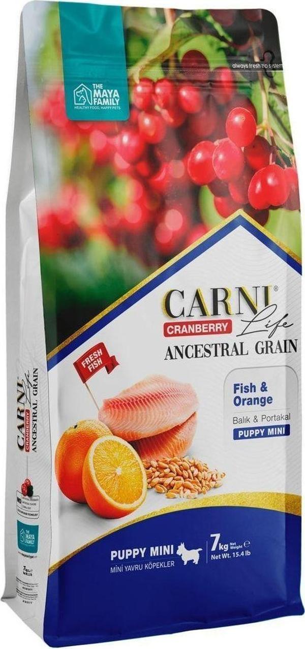 CARNİ LİFE Carni Dog Puppy Mini Balık/portakal Köpek Maması 7 Kg - Image 1