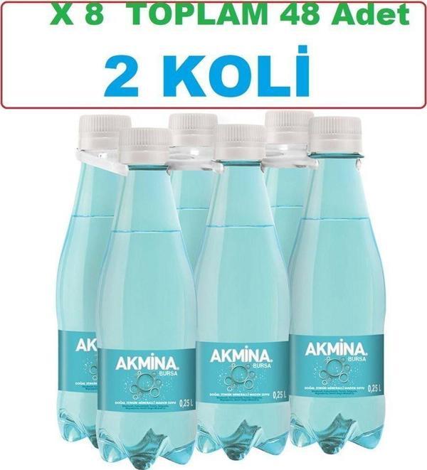 Akmina Maden Suyu Pet Şişe 48X250 ML - 2 Koli - Image 1