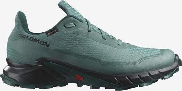 Salomon Alphacross 5 Gtx Erkek Koşu Ayakkabısı - Image 1