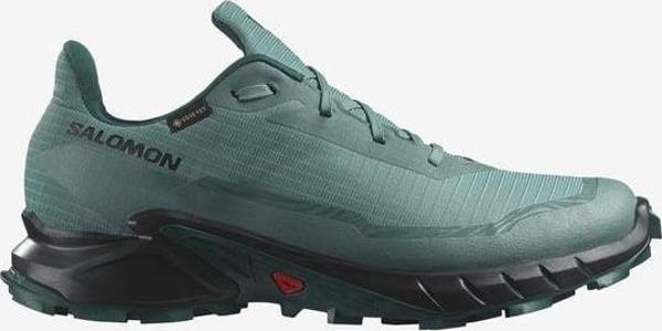 Salomon Alphacross 5 Gtx Erkek Koşu Ayakkabısı - Image 1
