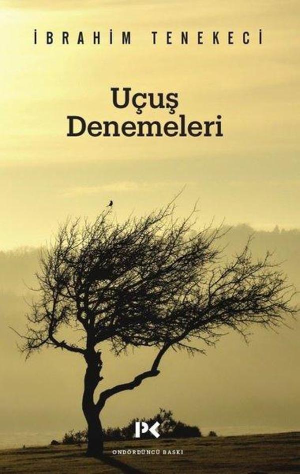 Uçuş Denemeleri - Profil Kitap Yayınevi - Image 1