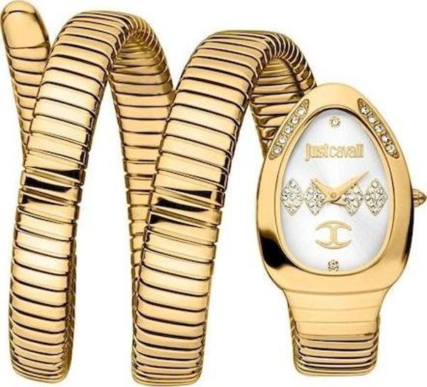 Just Cavalli JC1L230M0035 Kadın Kol Saati - Image 1