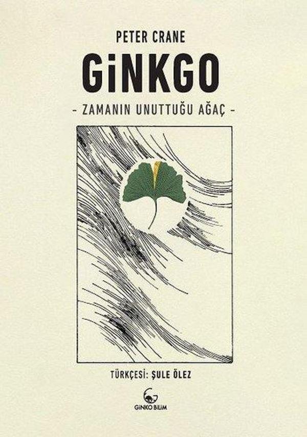 Ginkgo - Zamanın Unuttuğu Ağaç - Ginko Bilim - Image 1