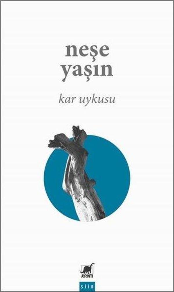 Ayrıntı Yayınları Kar Uykusu - Ayrıntı Yayınları - Image 1
