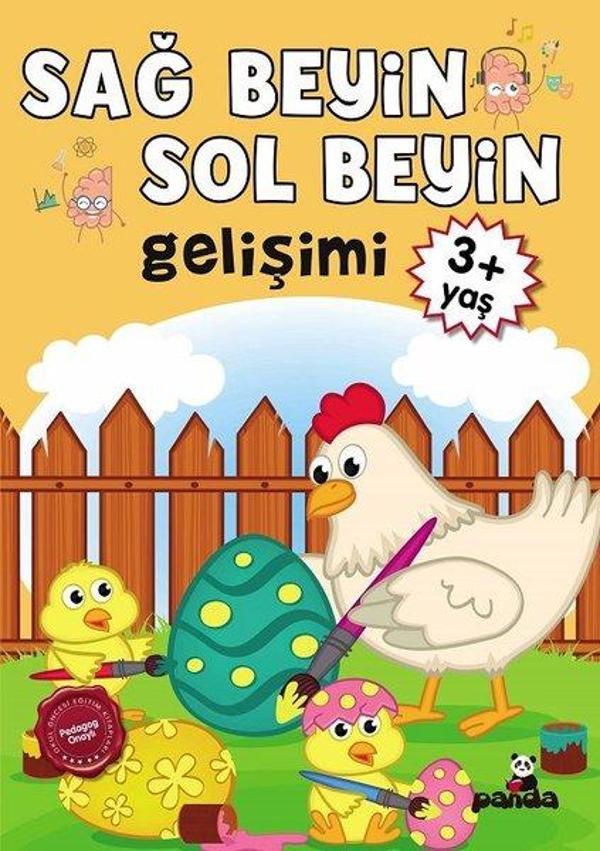 3 Yaş Sağ Beyin - Sol Beyin Gelişimi - Panda - Image 1