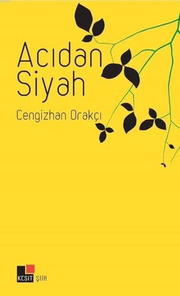 Kesit Yayınları Acıdan Siyah - Kesit Yayınları - Image 1