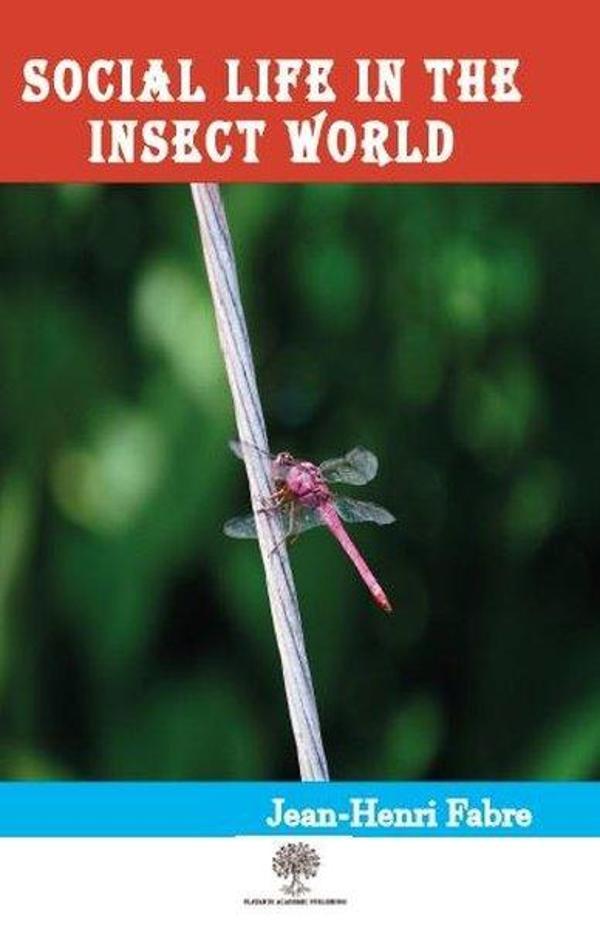 Social Life in the Insect World - Platanus Publishing - Image 1